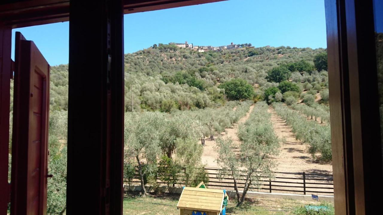 Il Barbagianni Bed & Breakfast Montepescali Екстериор снимка