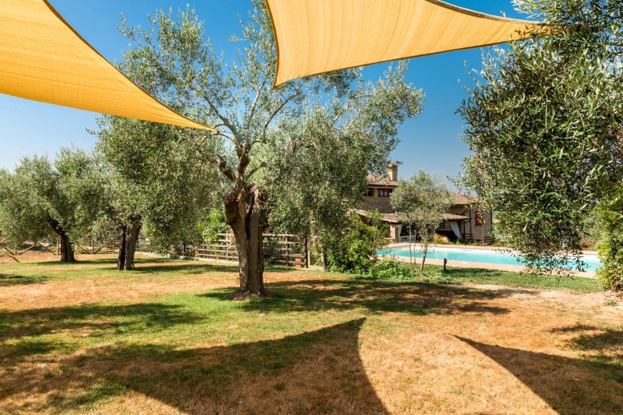 Il Barbagianni Bed & Breakfast Montepescali Екстериор снимка