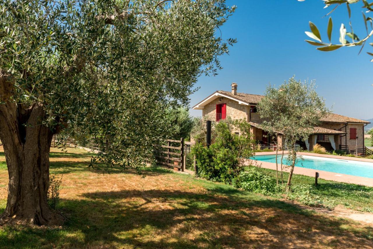 Il Barbagianni Bed & Breakfast Montepescali Екстериор снимка